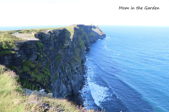 Cliff view looking toward starting tower