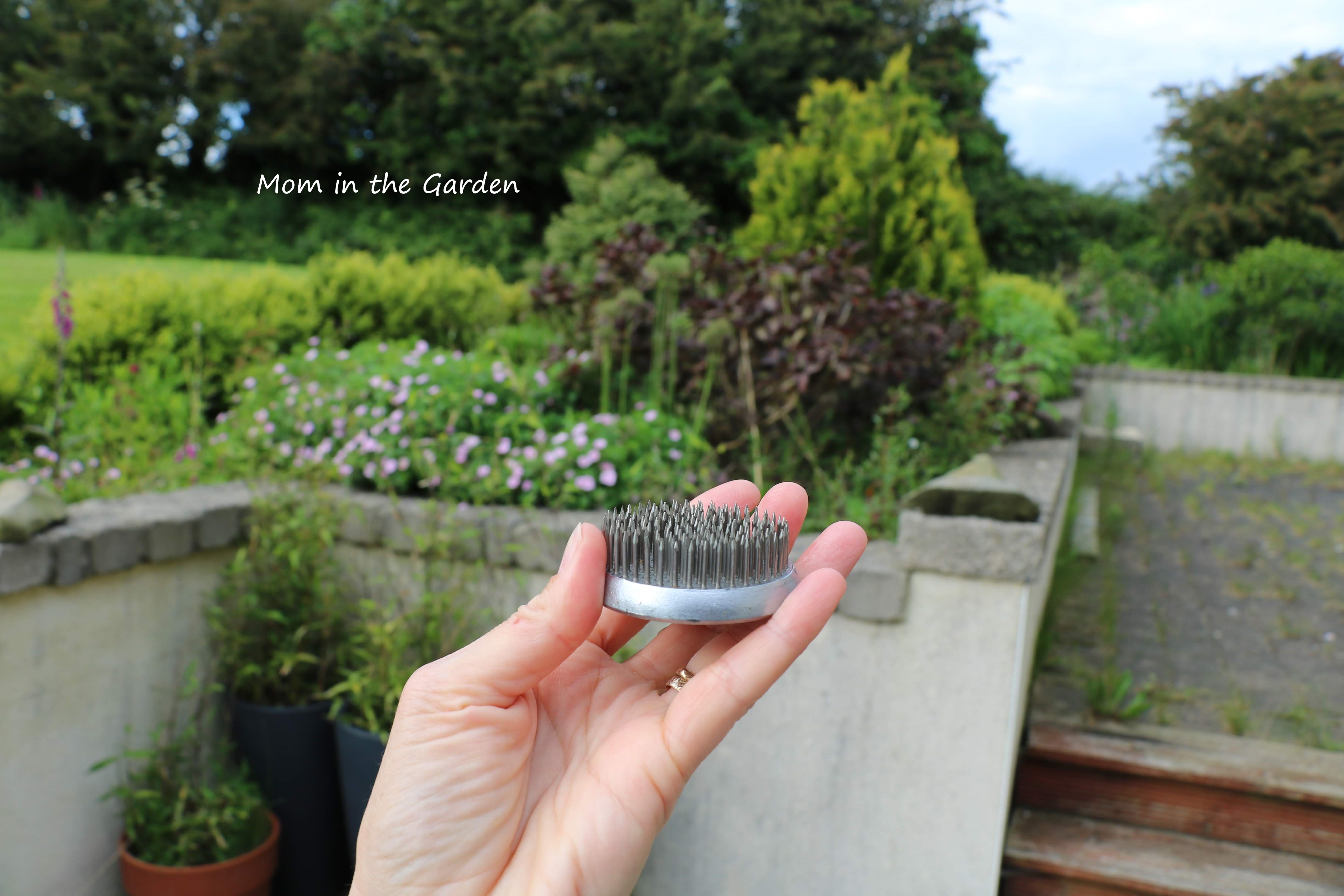 side view of floral frog