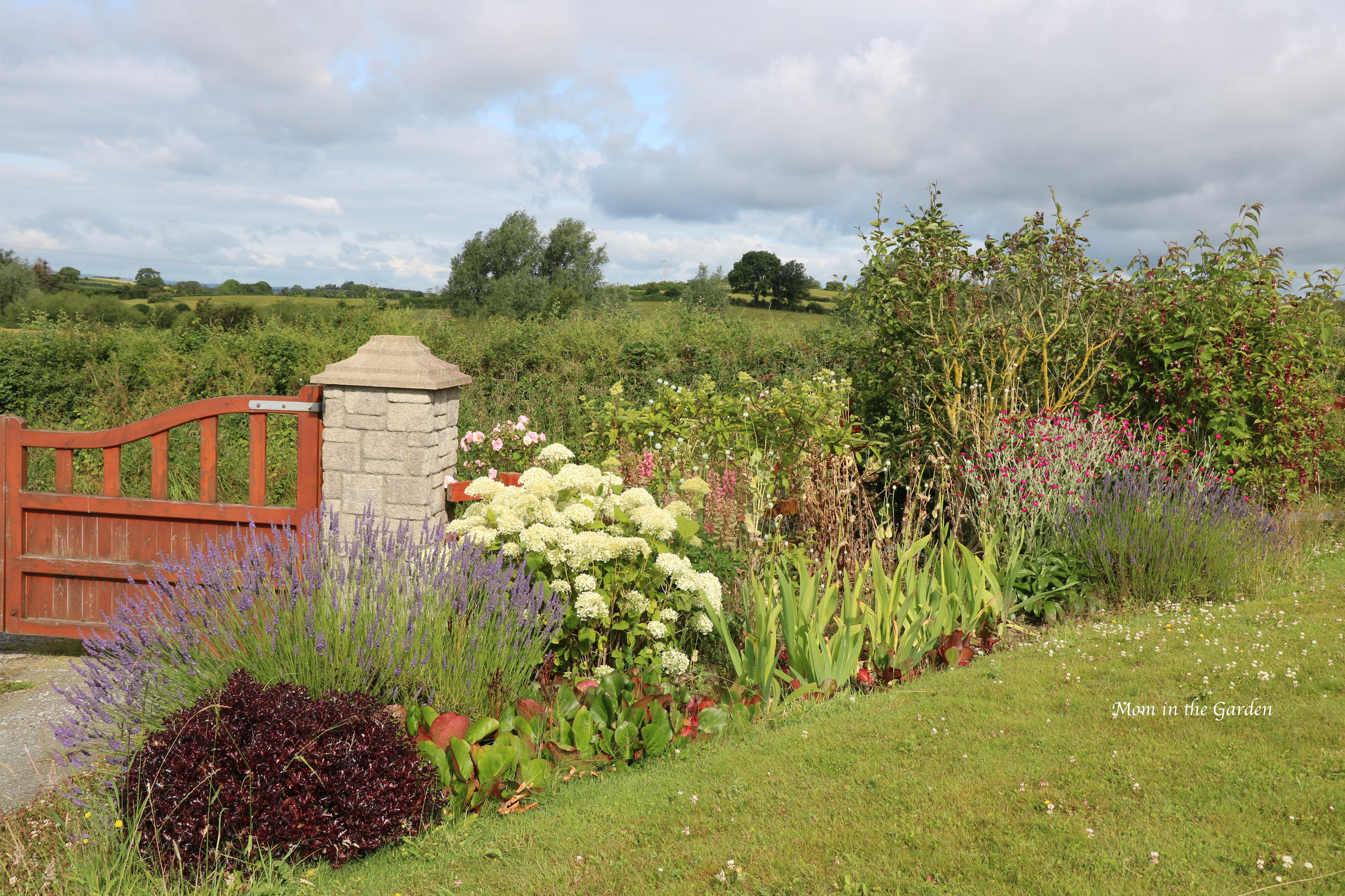 Front Gate Garden July 18