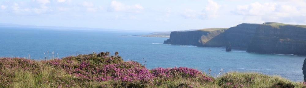 Heather and views of cliffs