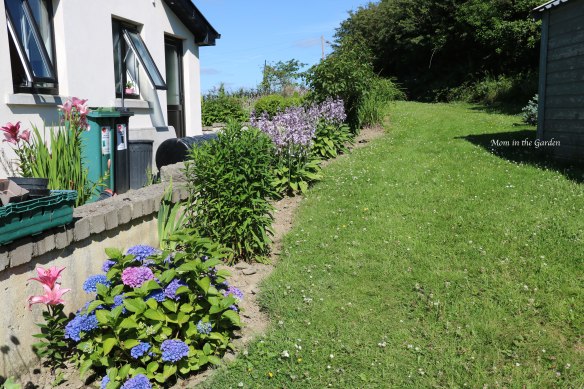 Hydrangea, Lilies, Hosta