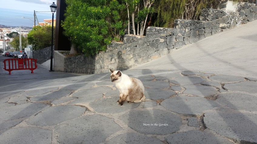 Barranco del Infierno CAT at the entrance