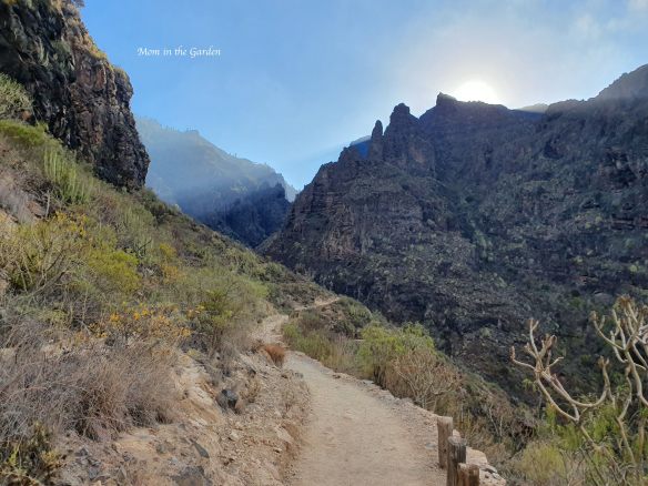 Barranco del Infierno desert view of canyon walls