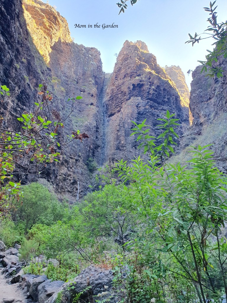 Barranco del Infierno plush green with backdrop of high stones