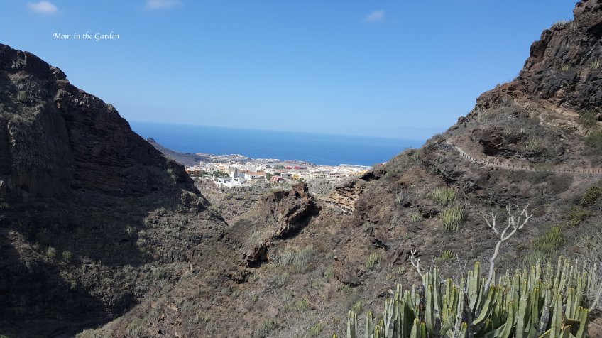 Barranco del Infierno sea view with cactus