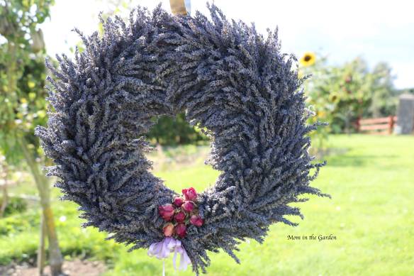 Completed Lavender Wreath in garden