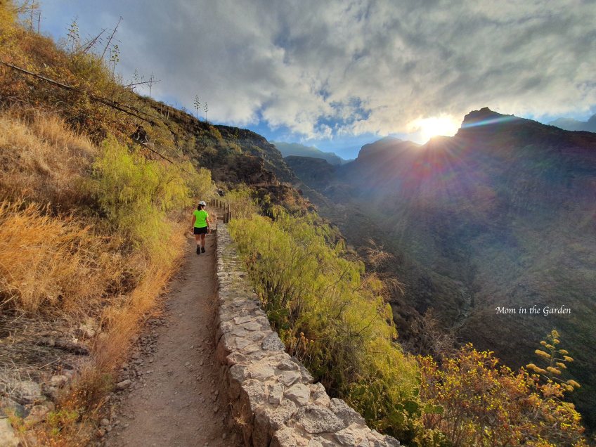 Barranco del Infierno Nature Preserve