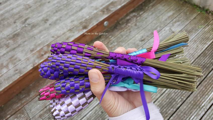 Lavender wands end of August