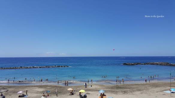 Playa del Duque beach on Costa Adeje in southern Tenerife