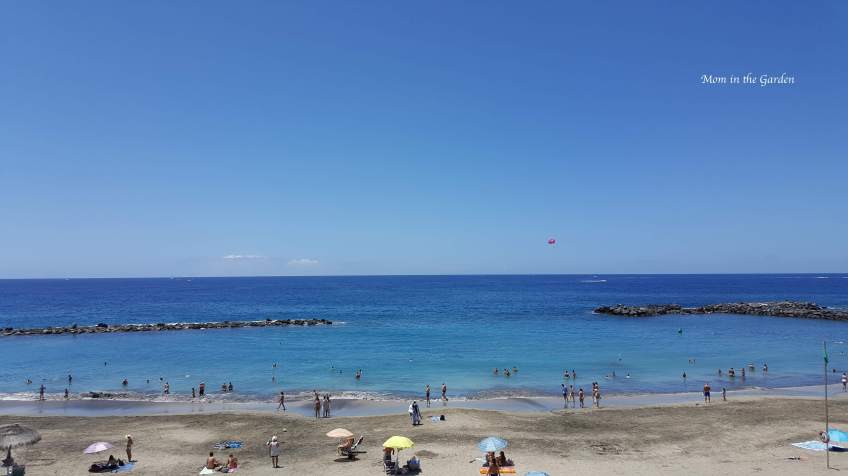 Playa del Duque beach on Costa Adeje in southern Tenerife