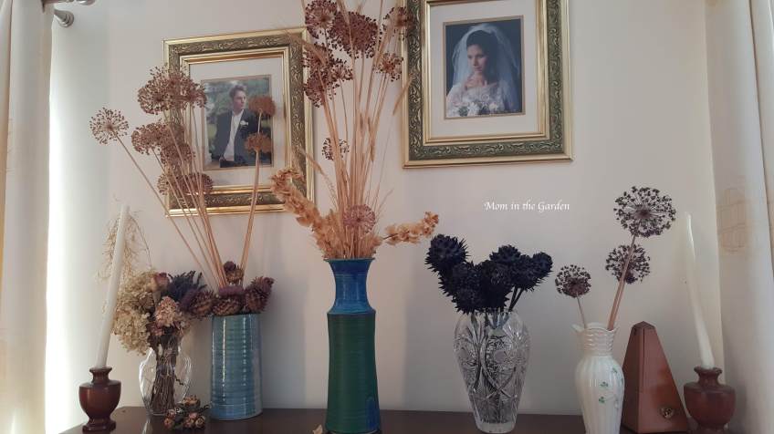 vases of dried flowers