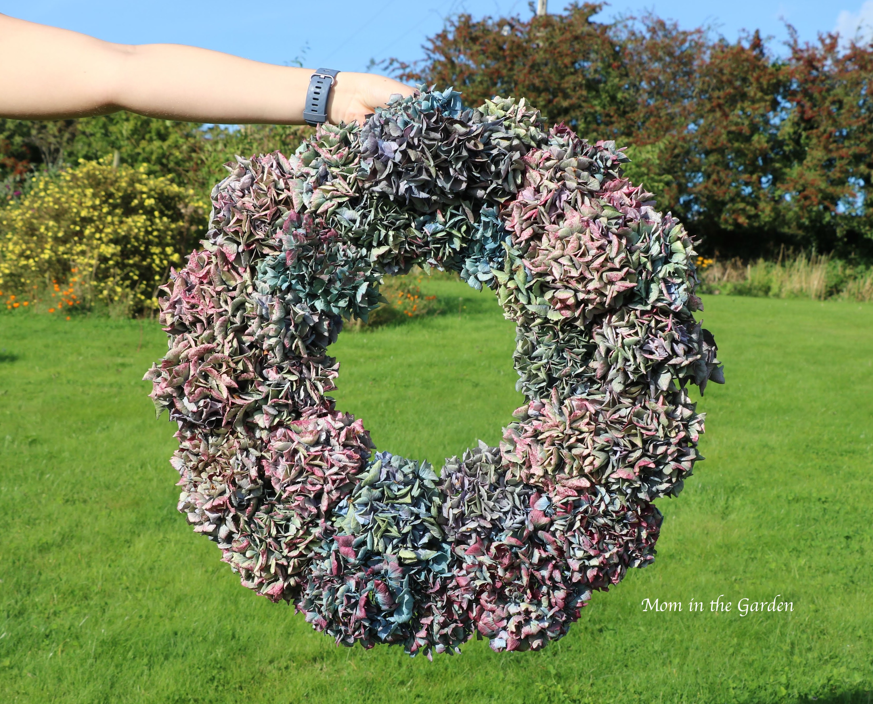 ta-da! completed hydrangea wreath