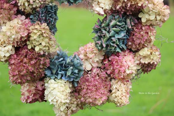 Hydrangea 'Vanille Fraise' Paniculata 'Renhy' wreath