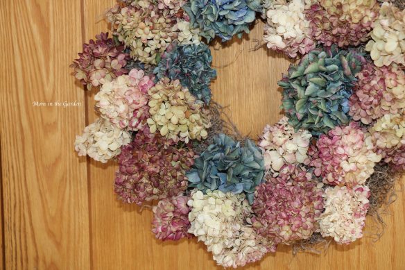 hydrangea paniculata wreath
