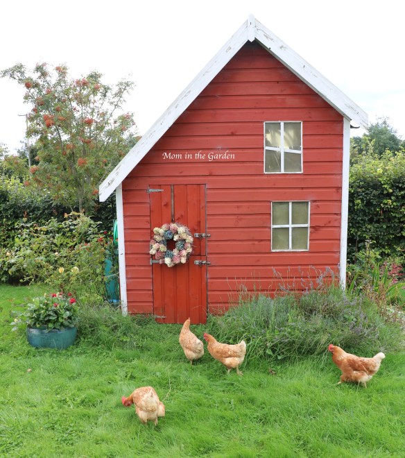 hydrangea paniculata wreath playhouse + chickens