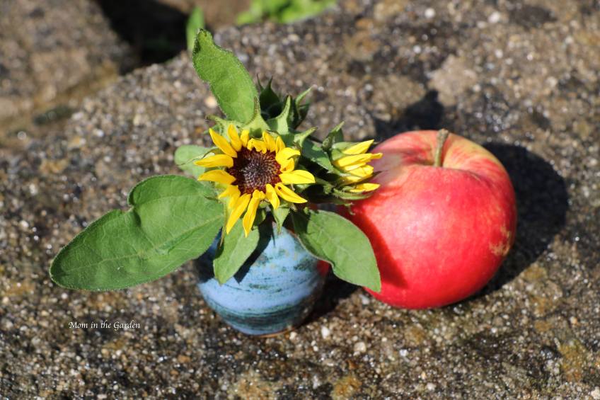 miniature sunflower vase + apple