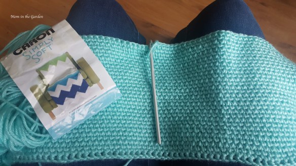 Blue Blanket in the beginning Jan 2019