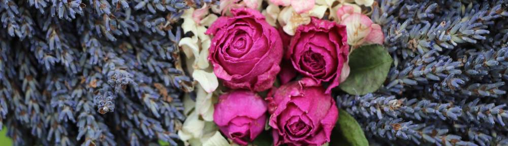 Lavender wreath + hot pink roses + hydrangea