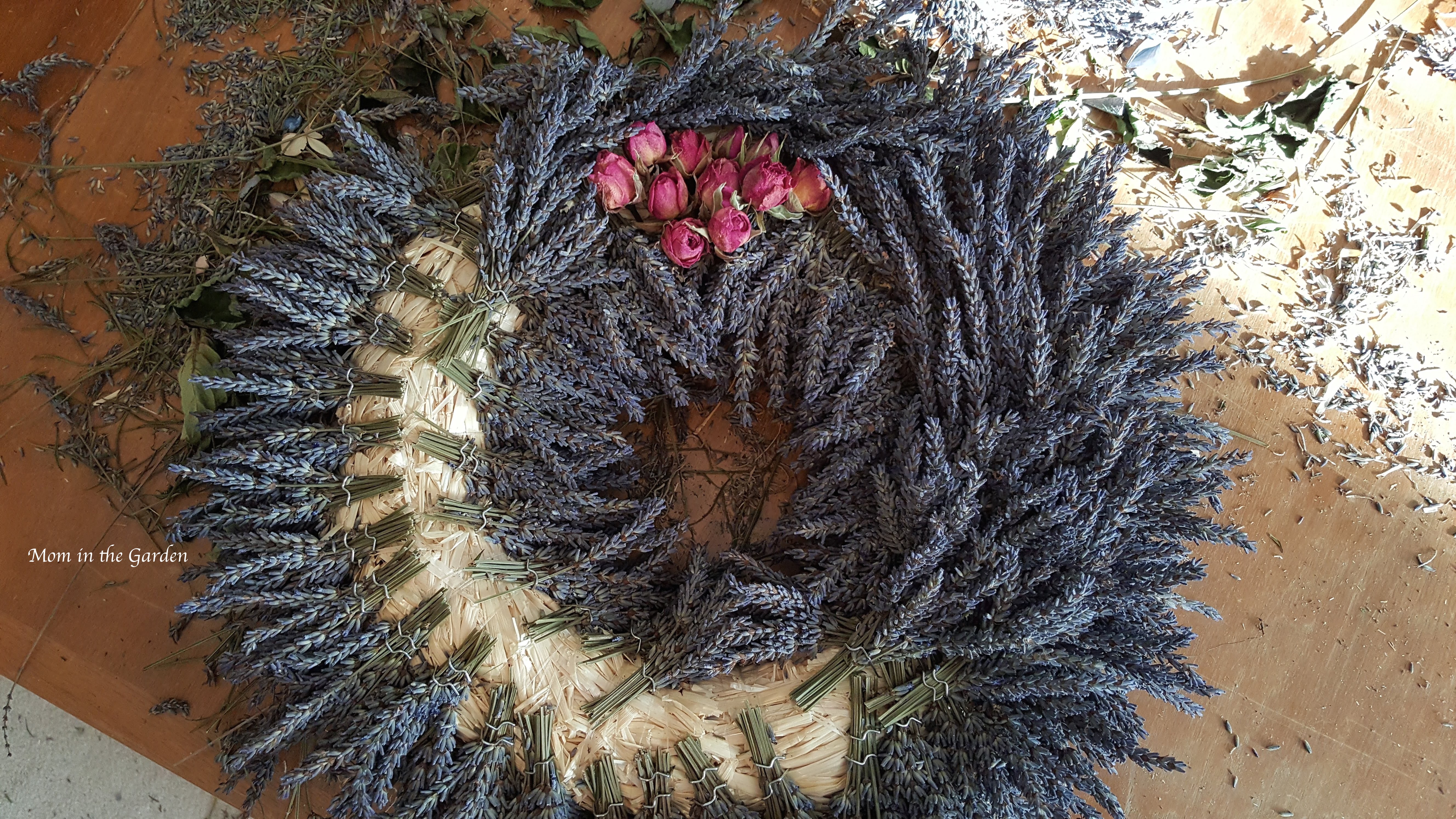 Lavender wreath in progress roses on top
