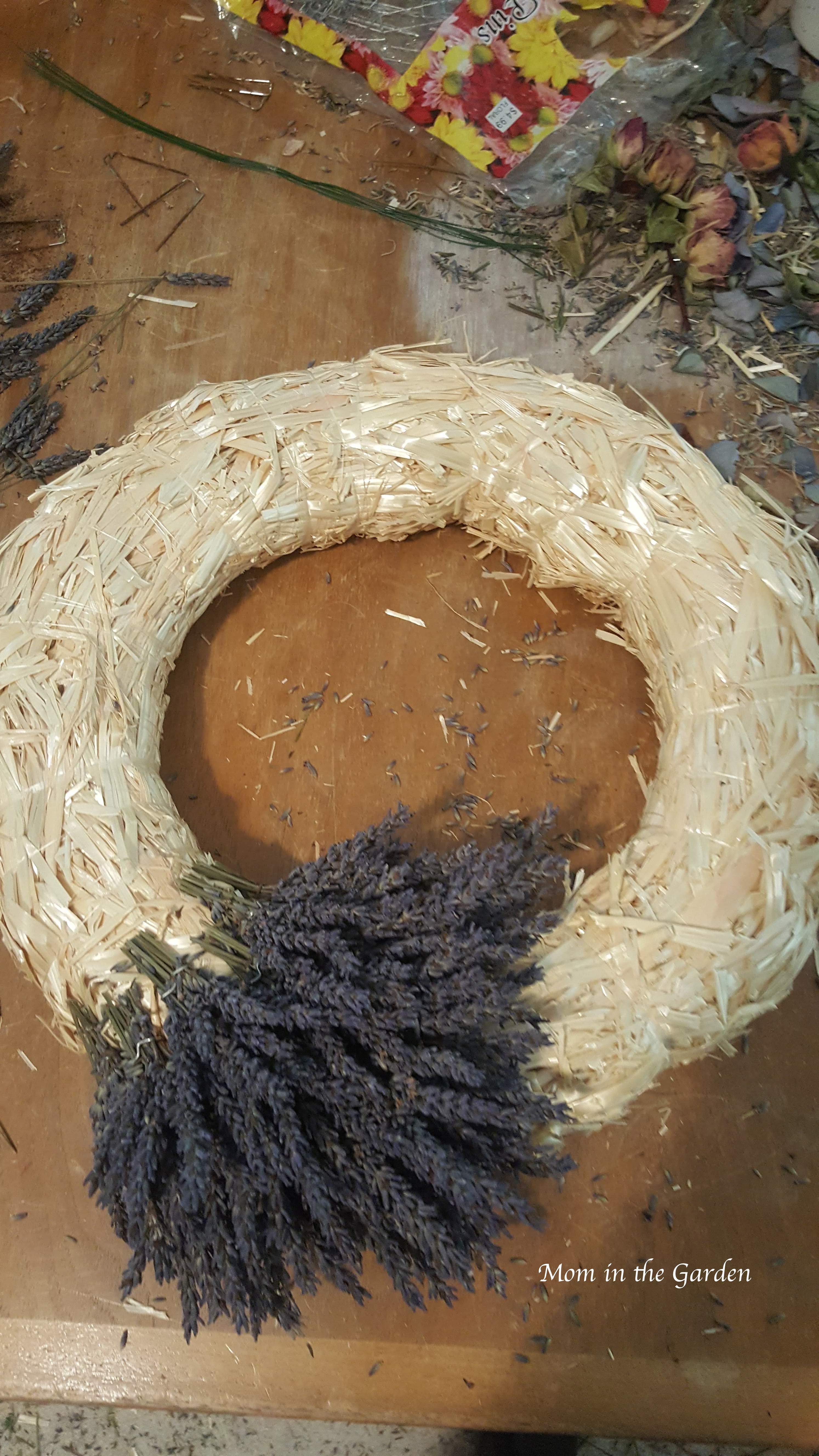 Lavender wreath in the making - first round
