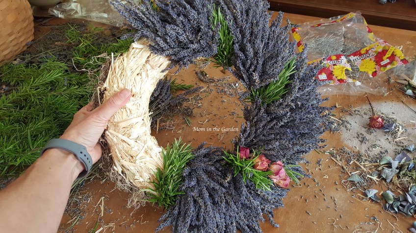 Lavender wreath + Rosemary in progress