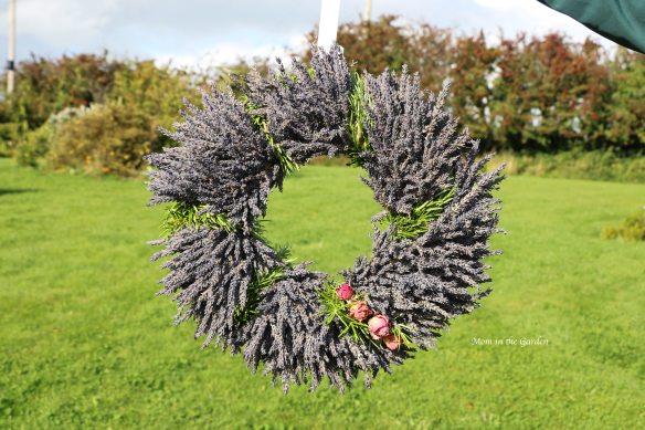 Lavender wreath + Rosemary + roses outside