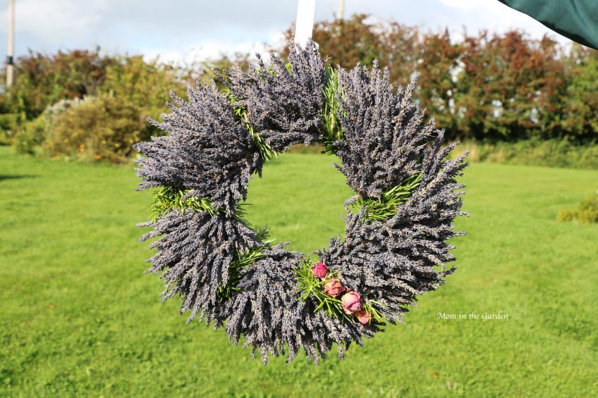 Lavender wreath + Rosemary + roses outside