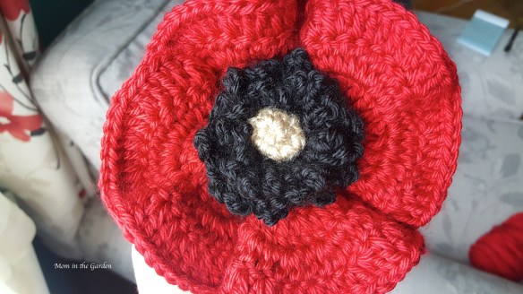 Poppy flower up close