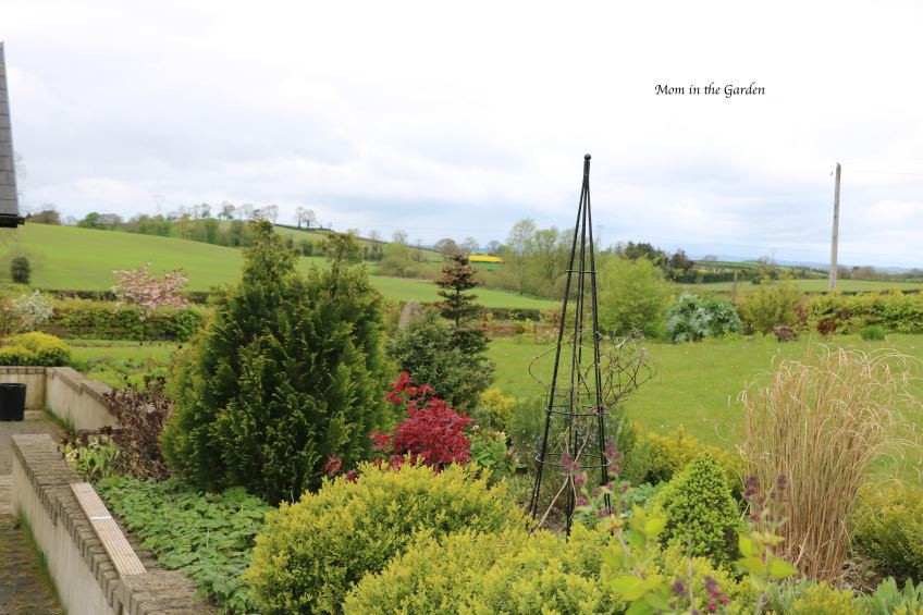 Front Garden View April 26