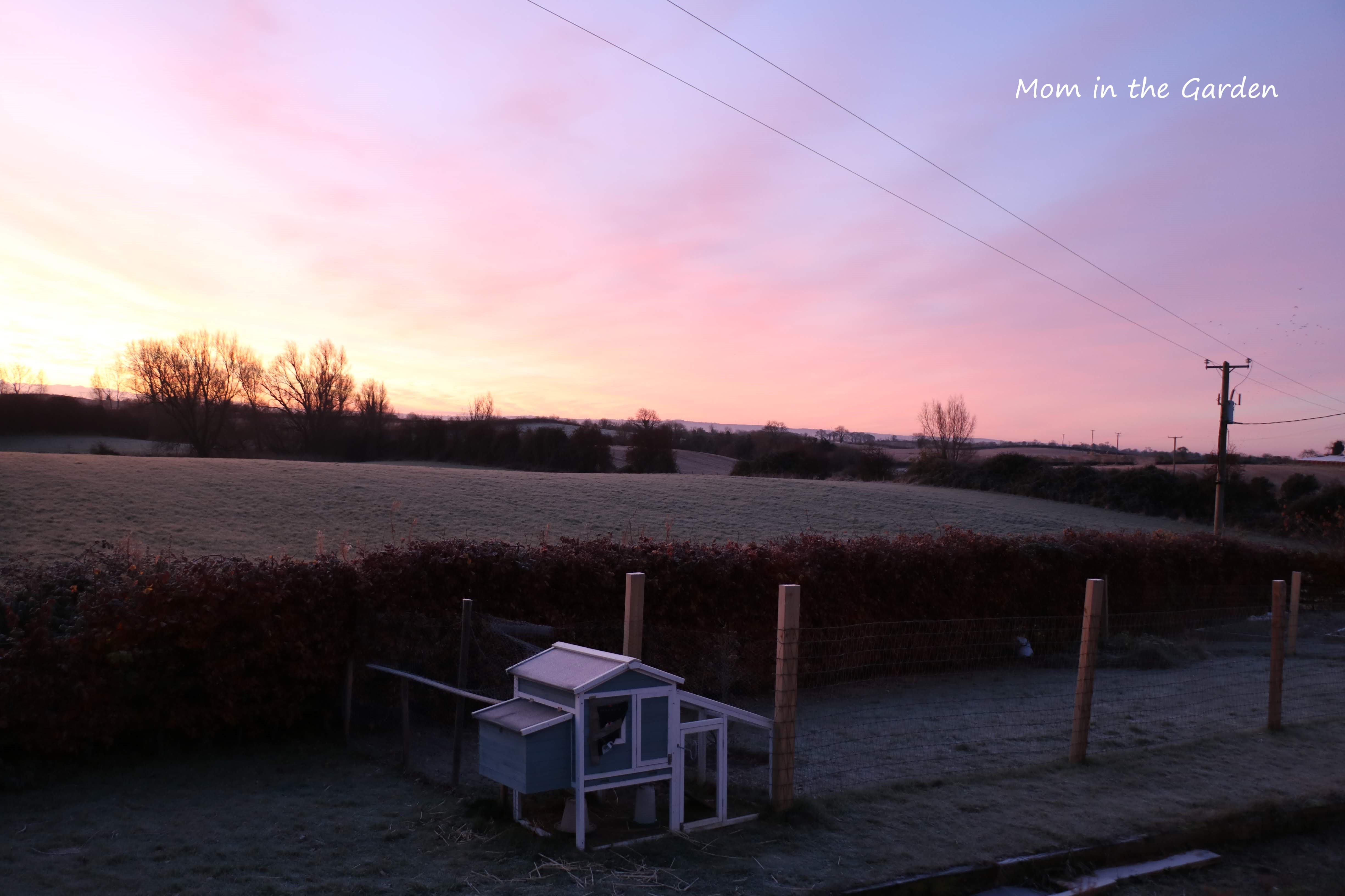 November Chicken house in Sunrise