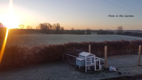 Frosty sunrise chickenhouse view