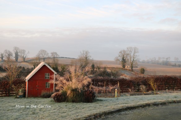 Playhouse in February morning sun and frost