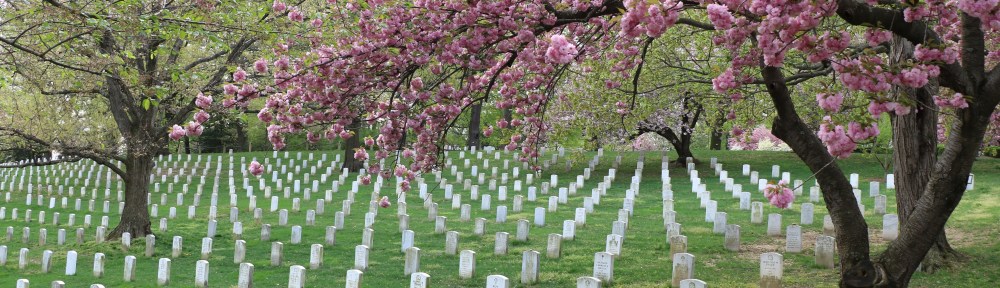 Arlington National Cemetery view of headstones