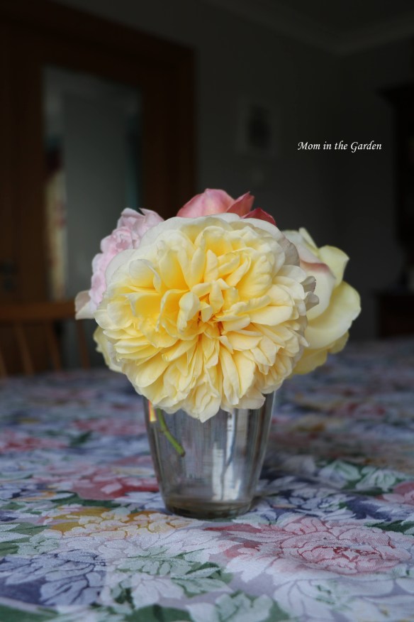 small vase yellow rose