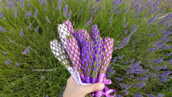 Bunch of lavender wands