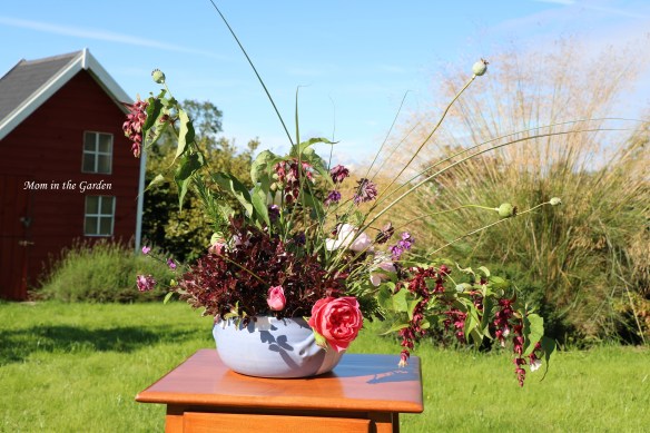 Back of arrangement full sun day 2