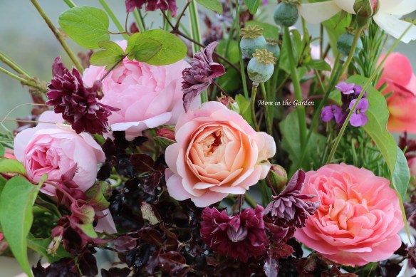 Eustacia Vye center day 1