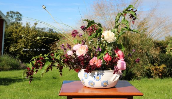 Full view arrangement in sun