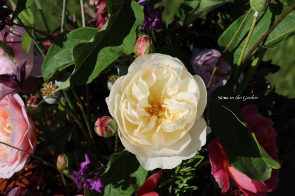 Lichfield angel above