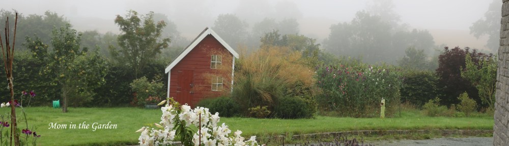 Playhouse view with fog