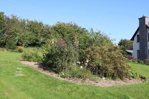 Center garden from front September