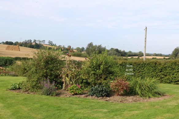 Center garden front view edged