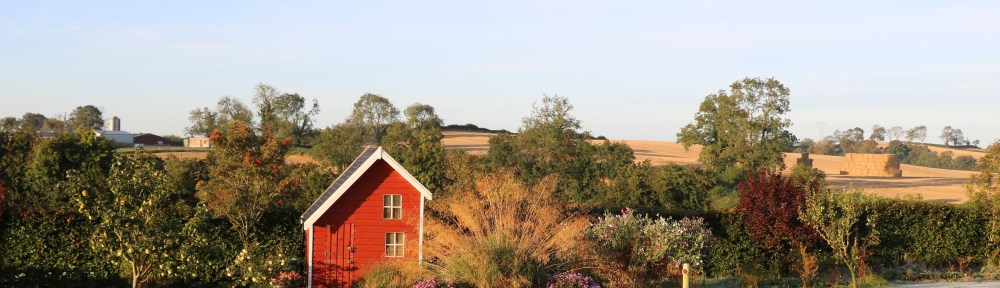 Full view frosty morning
