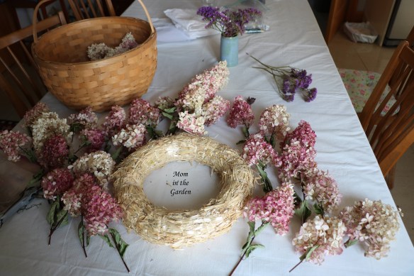 Hydrangea Vanille Fraise Paniculata Renhy Wreath set up