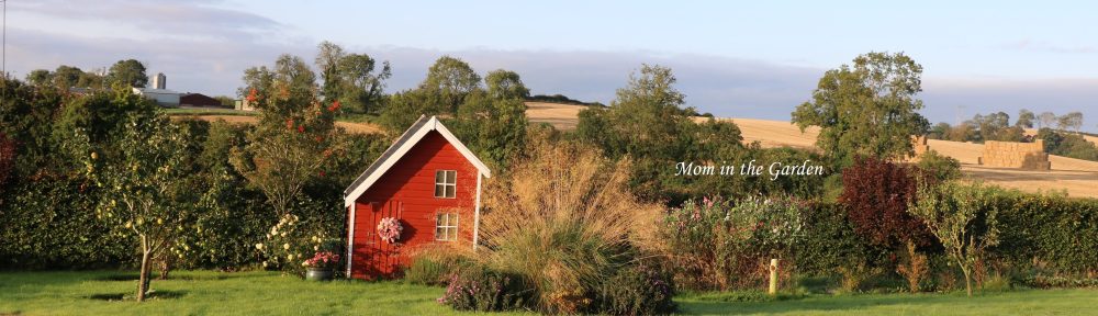 Sept 20 Fall View of Playhouse and fields