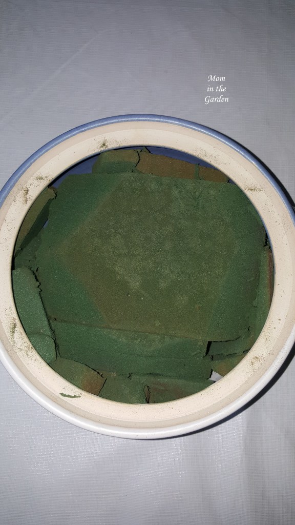 Oasis in the pottery 