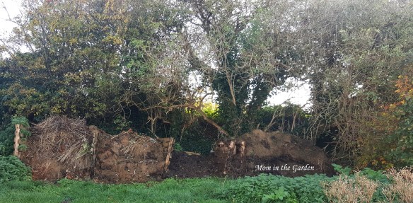 Compost full view October