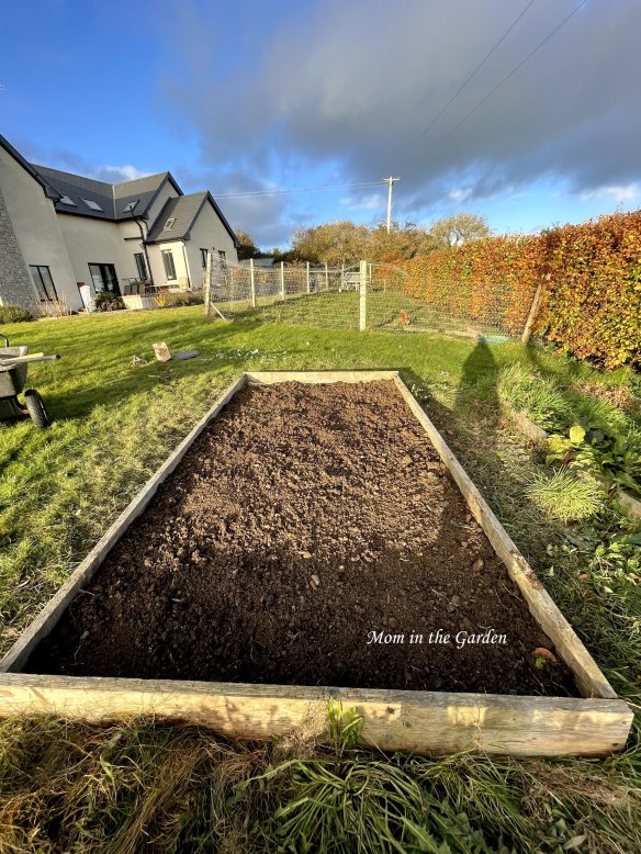 Garlic bed post planting