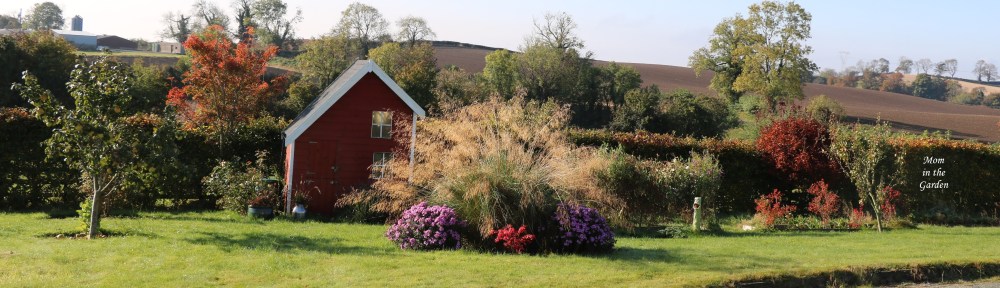 October 18 view of playhouse in sun