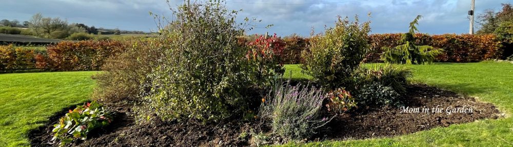 Rainbow garden full view